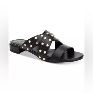 NWOB BCBGeneration Dana Flat Sandals